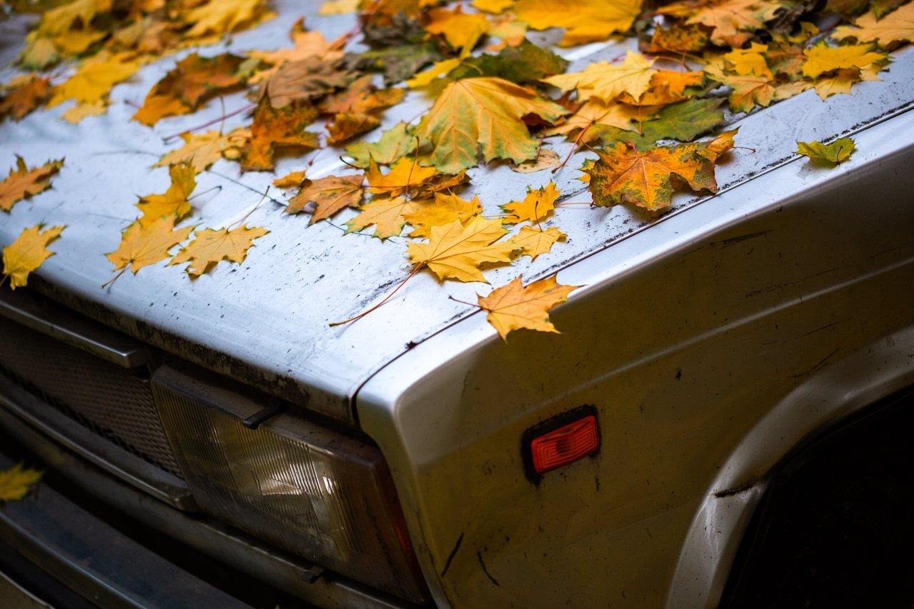 Préparer sa voiture pour l’automne : Sécurité et confort de conduite