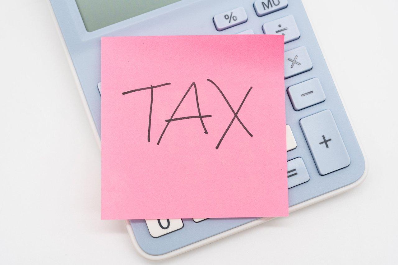 Écran de calculatrice de taxes écologiques prévisionnelles pour anticiper les impacts financiers en 2025.