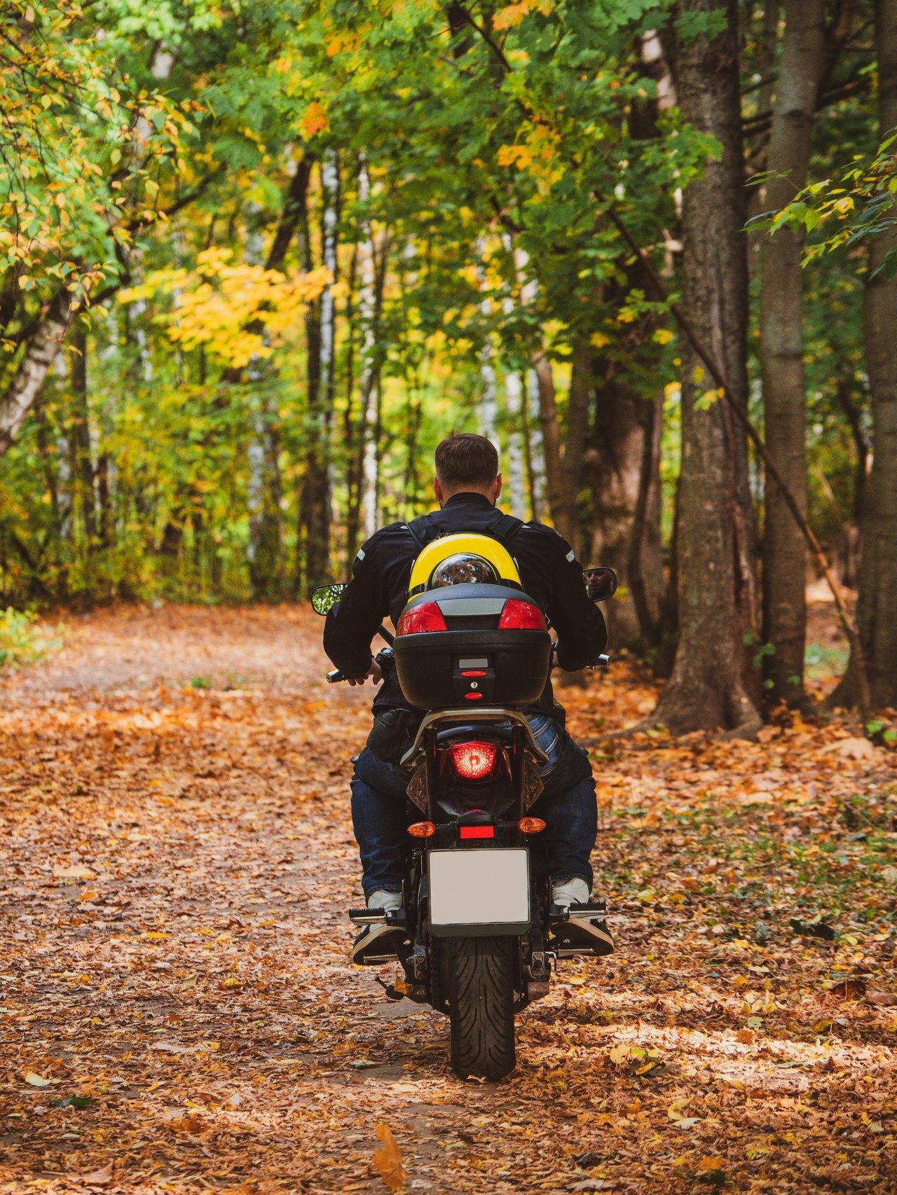 Motard équipé pour rouler en automne sur une route bordée d’arbres avec feuilles mortes au sol, profitant d'une balade sécurisée.