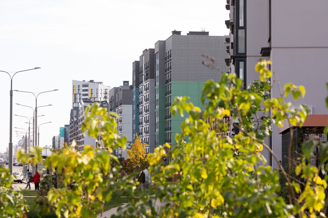 Top 7 des citadines les plus économiques en essence pour 2026